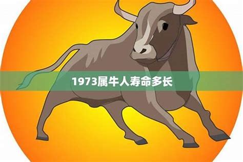 73年次五行|1973年属牛的人是什么命 1973牛命晚年很苦